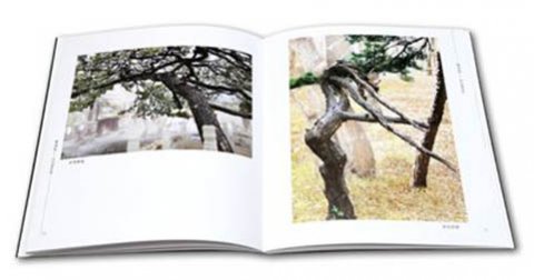 畫(huà)冊(cè)-攝影類(lèi)